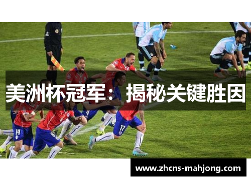 美洲杯冠军：揭秘关键胜因