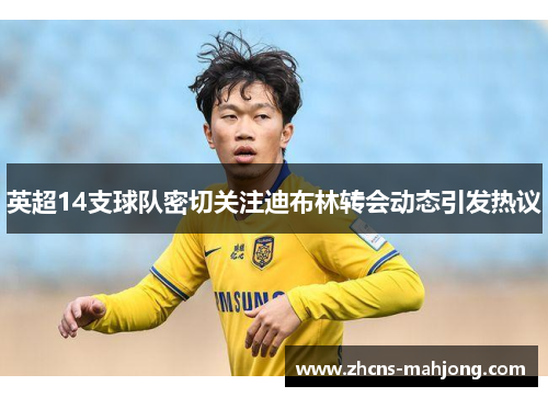 英超14支球队密切关注迪布林转会动态引发热议