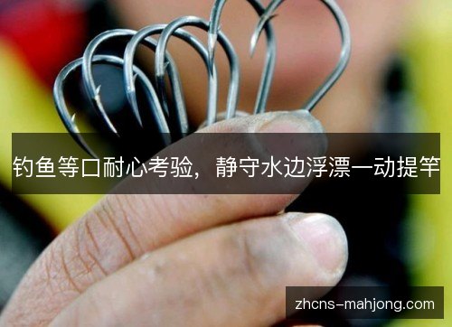 钓鱼等口耐心考验，静守水边浮漂一动提竿